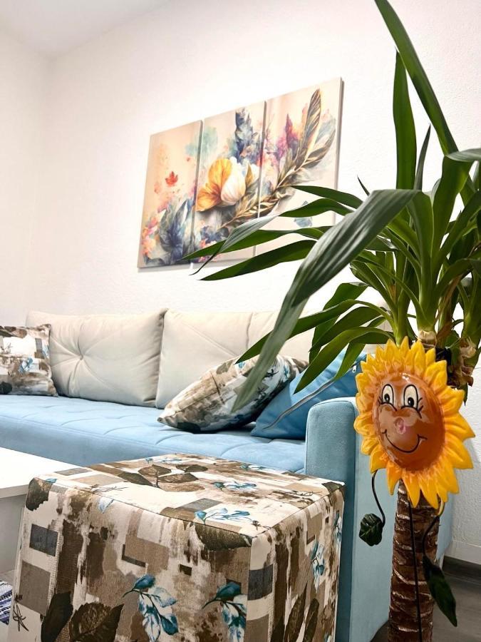 M Apartman Foca Bagian luar foto